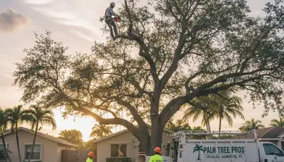 Professional tree removal crew working safely in Fort Lauderdale, FL residential neighborhood