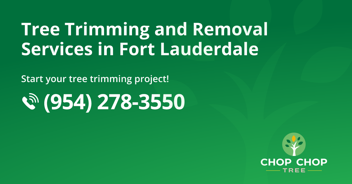 Fort Lauderdale Tree Removal and Tree Care | Chop Chop Tree